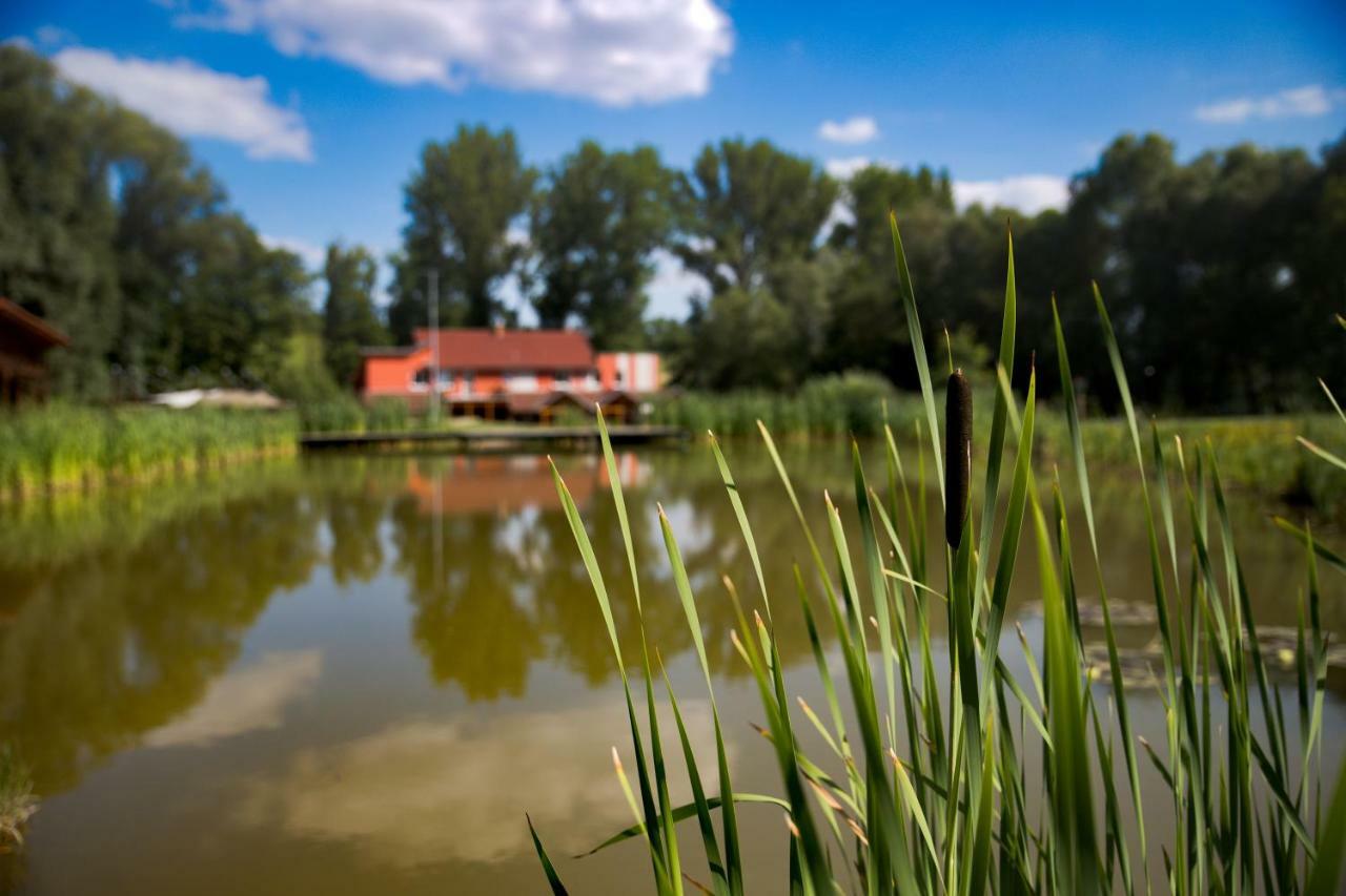 Penzion Amfik Bukovina Popovice  エクステリア 写真