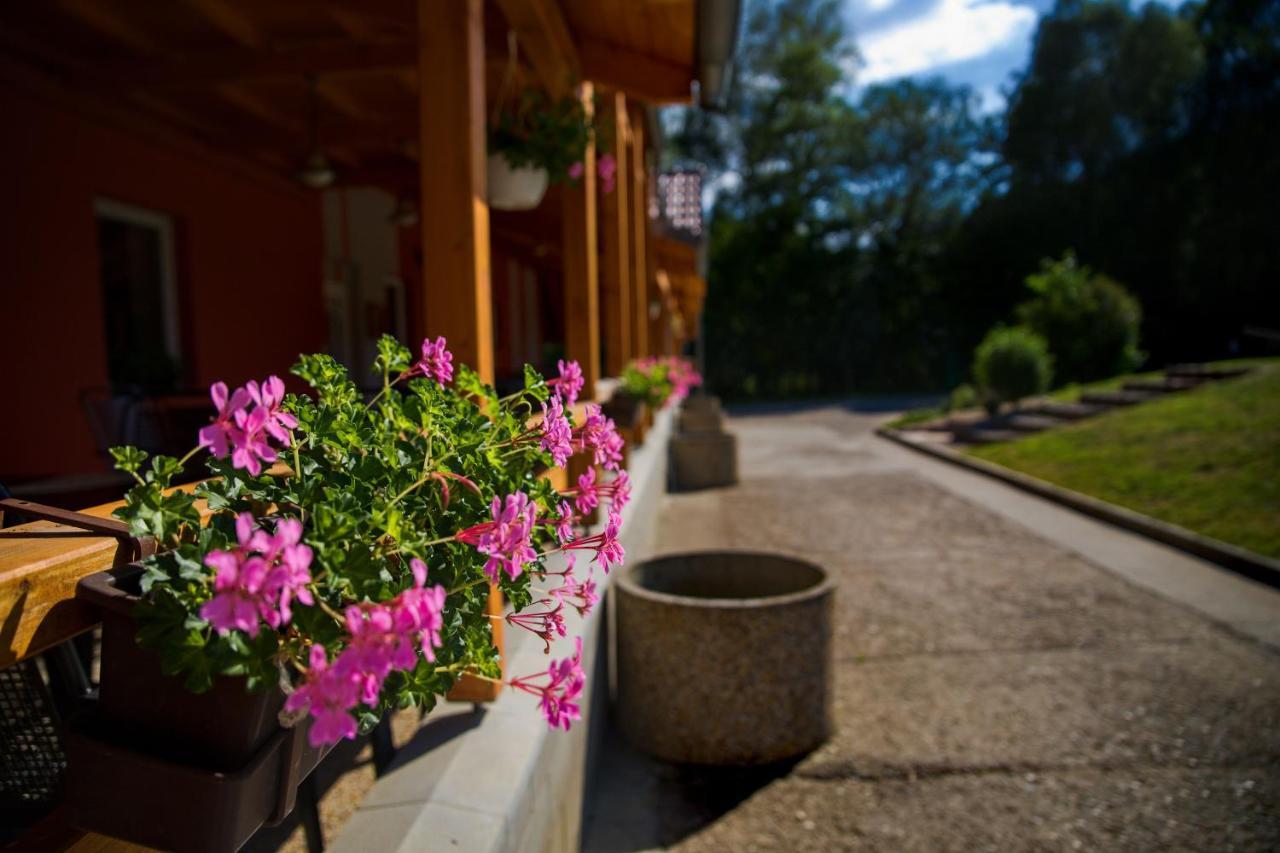Penzion Amfik Bukovina Popovice  エクステリア 写真